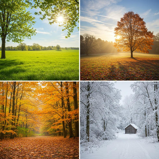 Seasonal trends for blog topics illustration